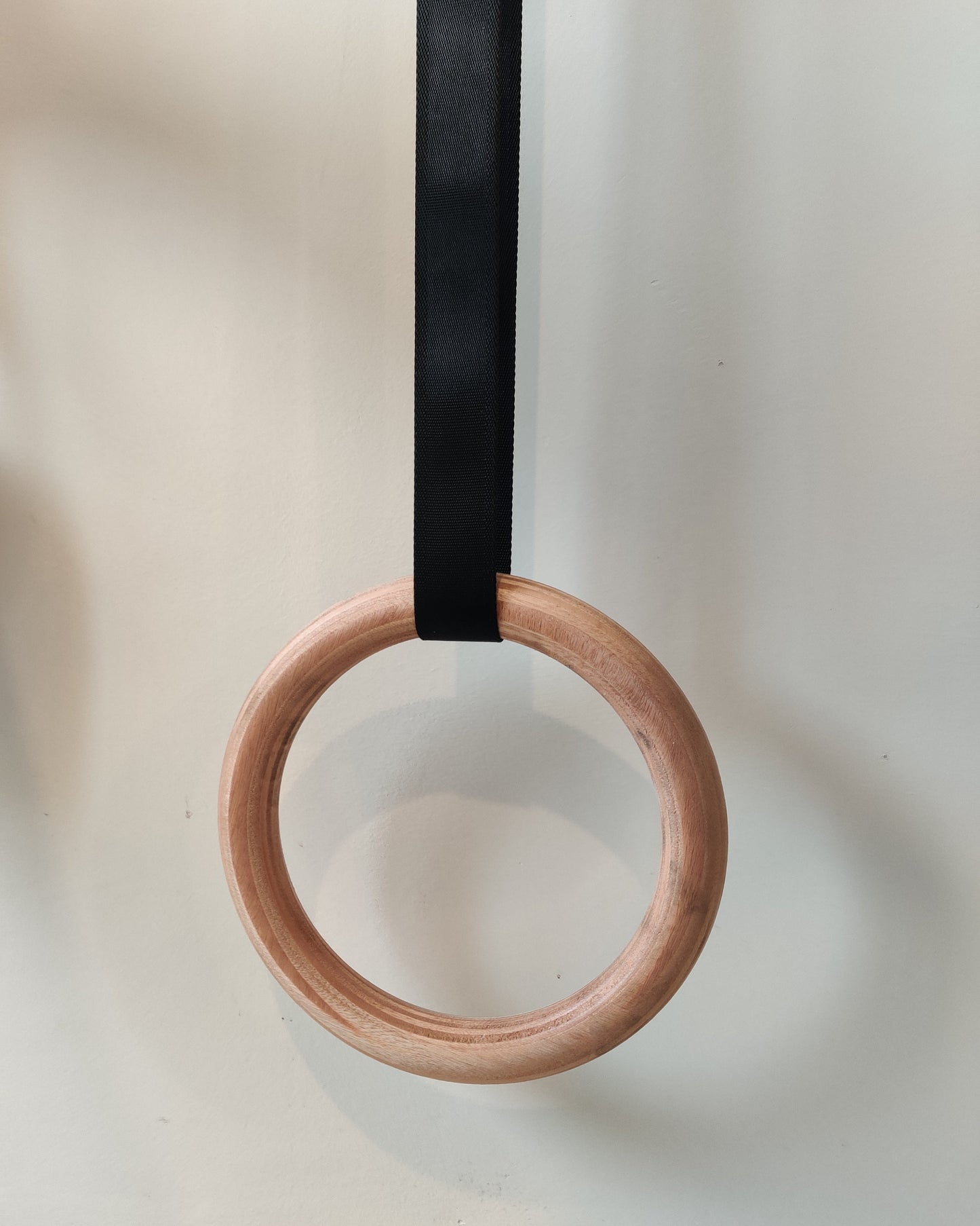 Échelle Suédoise en Bois Hêtre avec 4 Accessoires