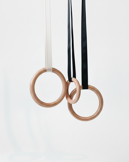 Échelle Suédoise en Bois Hêtre avec 4 Accessoires