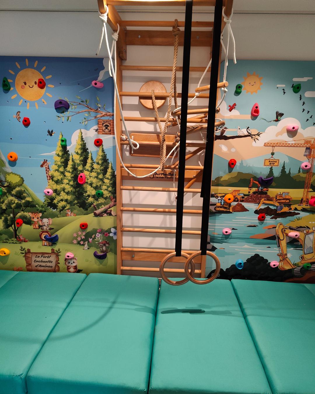 Échelle Suédoise en Bois Hêtre avec 4 Accessoires