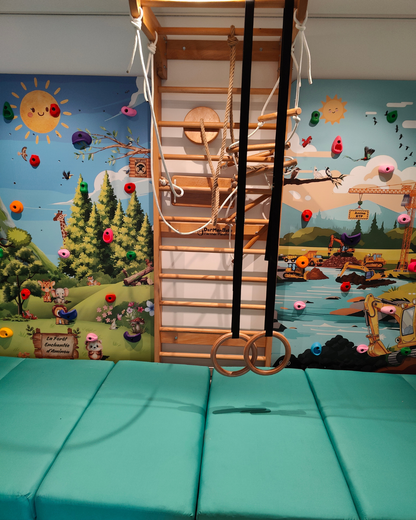 Échelle Suédoise en Bois Hêtre avec 4 Accessoires