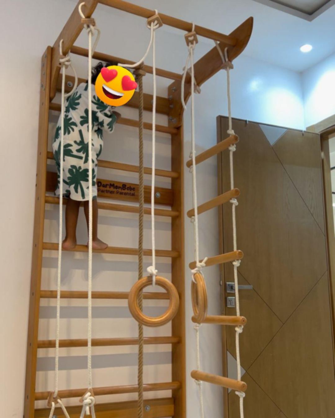 Échelle Suédoise en Bois Hêtre avec 4 Accessoires