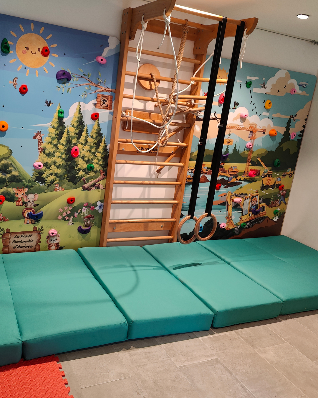 Échelle Suédoise en Bois Hêtre avec 4 Accessoires