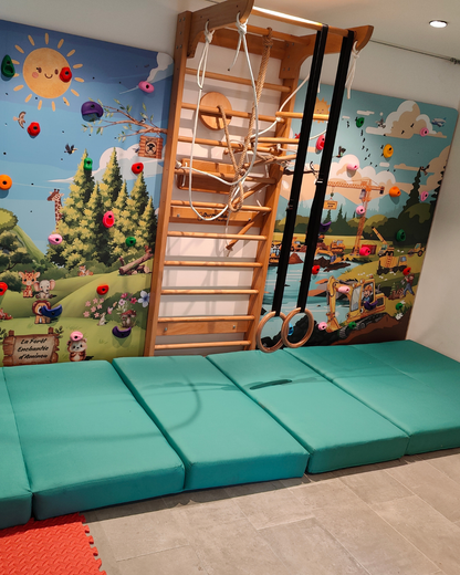 Échelle Suédoise en Bois Hêtre avec 4 Accessoires